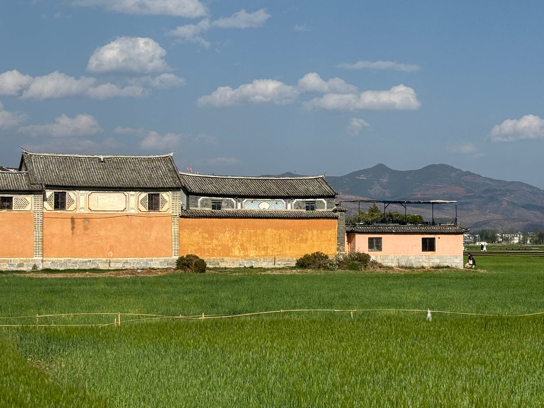 Yuntopia Heritage Journey