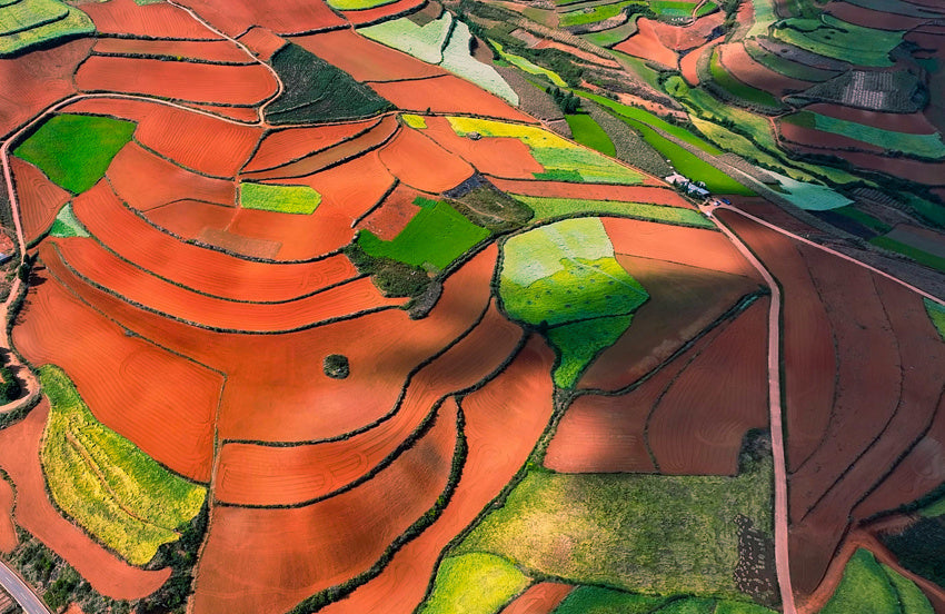 Why Yunnan Cannot Be Explained